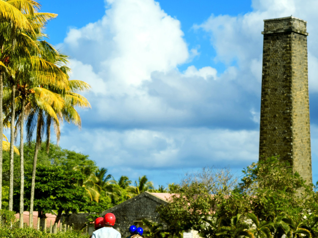 Mau Vintage Xperience