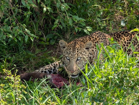 Wild Plus Escapades-马林地必去景点