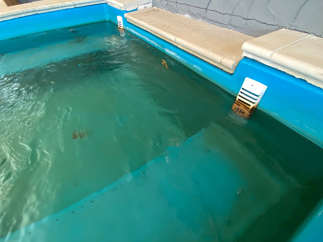 Macedon Ranges Hotel & Spa主图