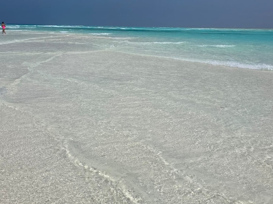 Aladino Tours-桑给巴尔岛必去景点