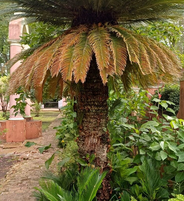 Palacio San Jose-Concepcion del Uruguay必去景点