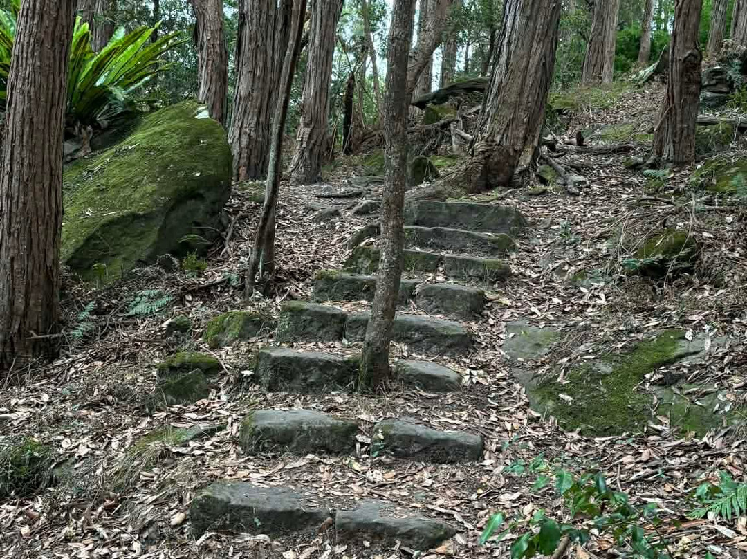 Stringybark Reserve