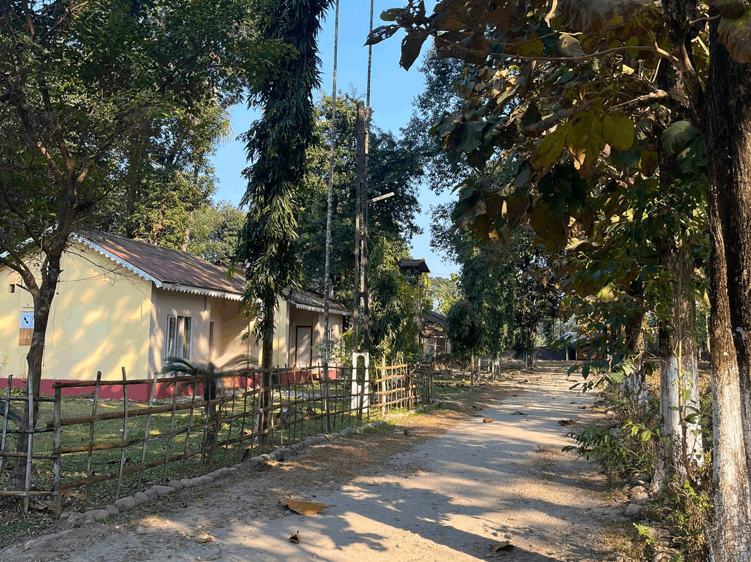 Gorumara Jungle Resort