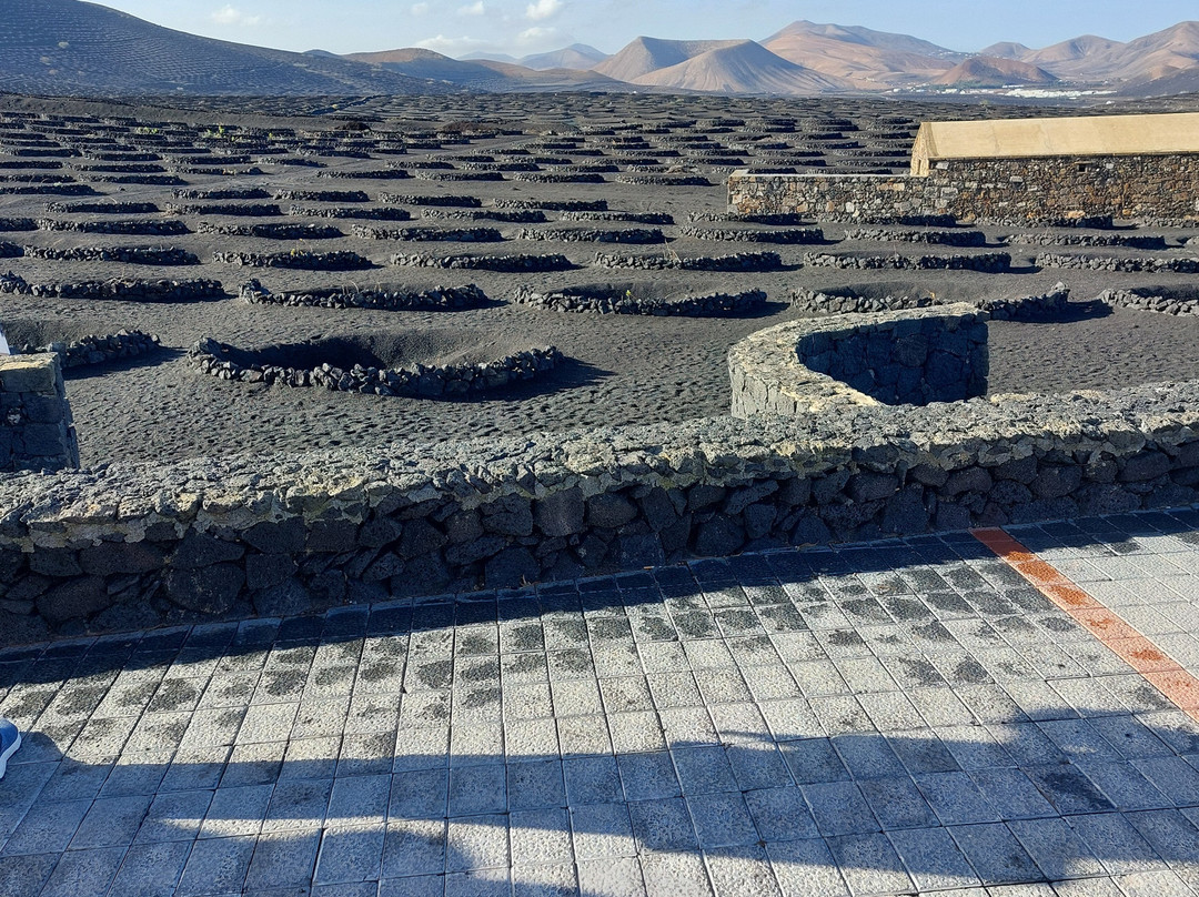 Bodegas Rubicon-Yaiza必去景点