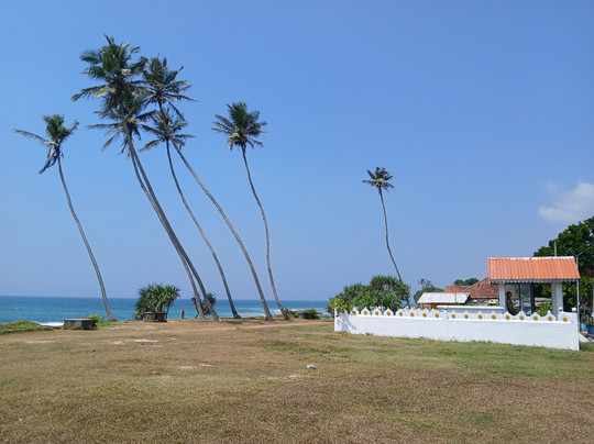 MySL Travel-科伦坡必去景点