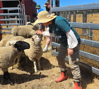 Edgar's Mission-Lancefield必去景点