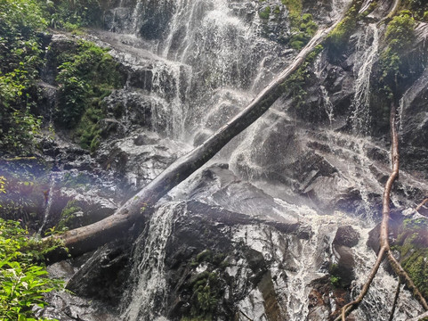 Pinnacle Africa-坎帕拉必去景点