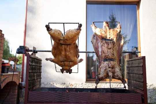 Hotel Astoria-官方