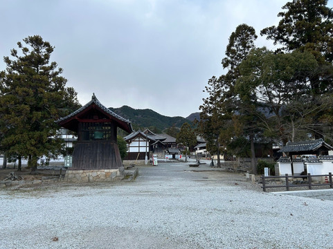 Taimadera Temple-葛城市必去景点