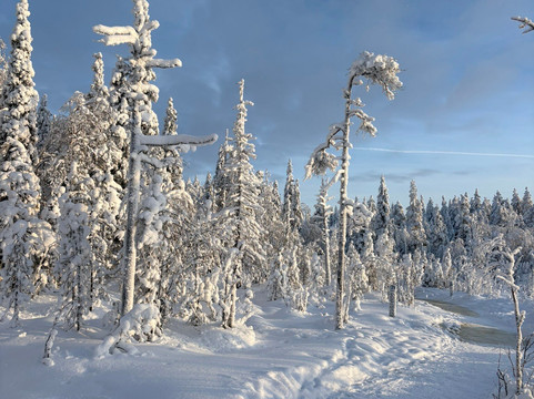 Ounasvaara Winter Trail-罗瓦涅米必去景点