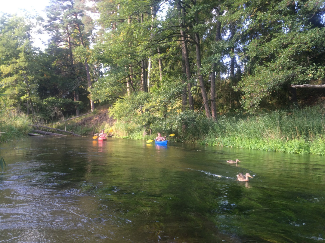 AS-TOUR - Kayaking Czarna Hancza & Rospuda