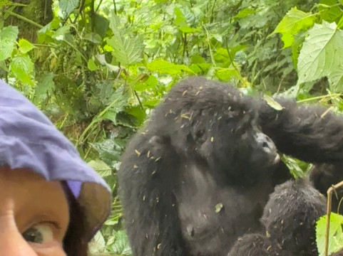 Monkey Adventures-坎帕拉必去景点