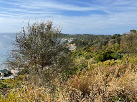 Flinders Ocean Lookout-弗林德斯必去景点
