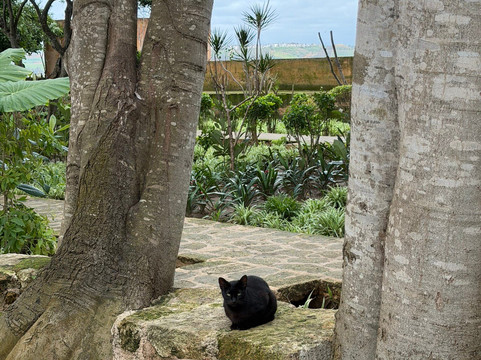 Boutaina-拉巴特必去景点