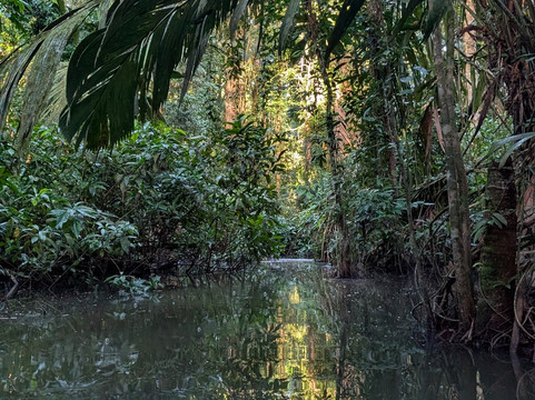 World Evasion-圣何塞必去景点