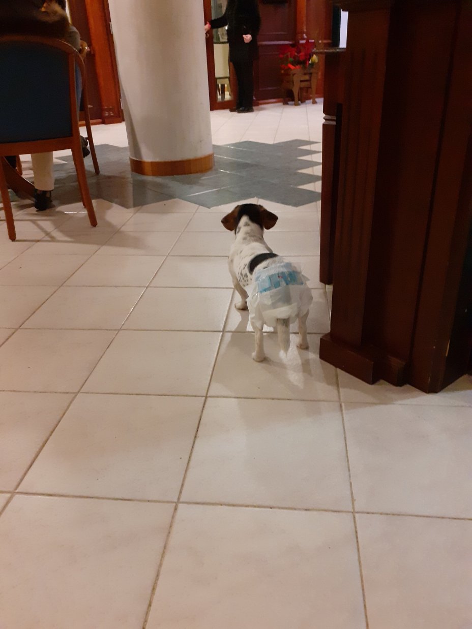 欧维杜斯酒店-官方