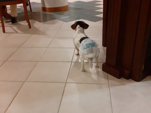 欧维杜斯酒店主图