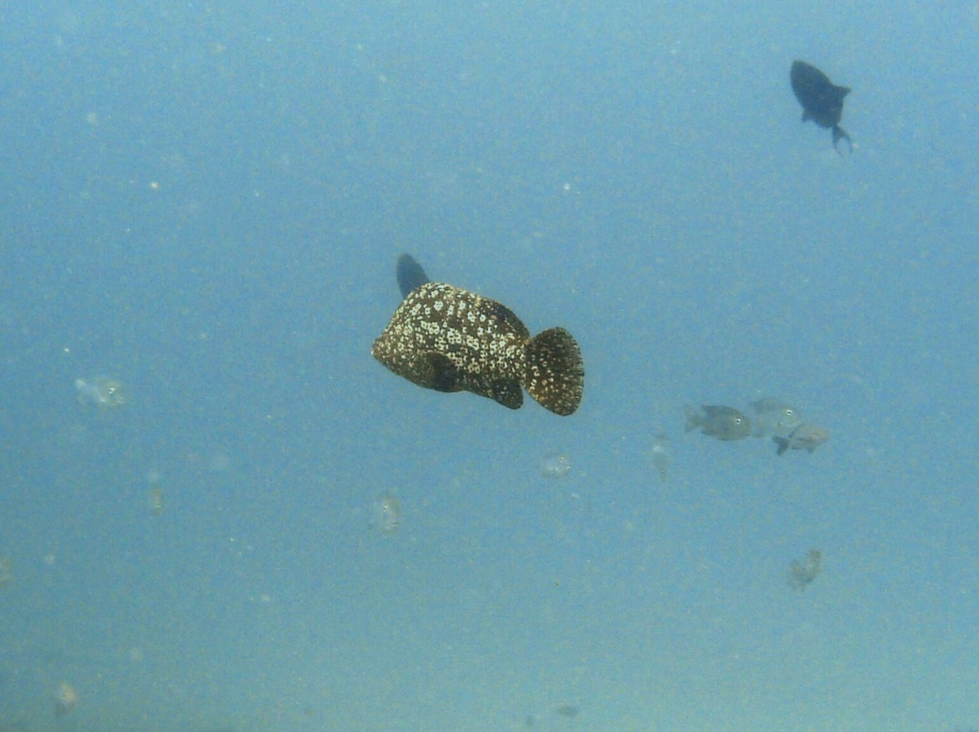 Aqua Ventures-瓦塔木必去景点