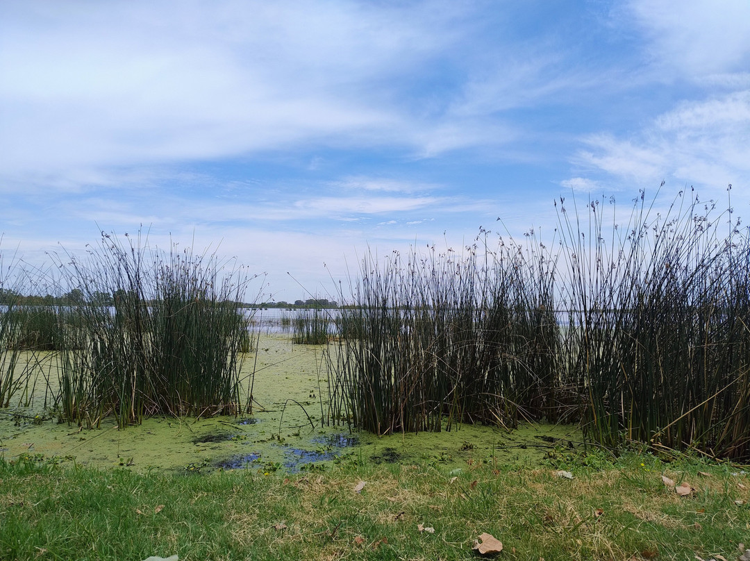 Laguna Navarro-Navarro必去景点
