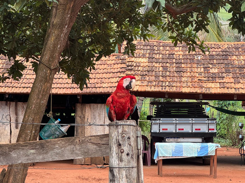 Chapada das Mesas Tur-Carolina必去景点