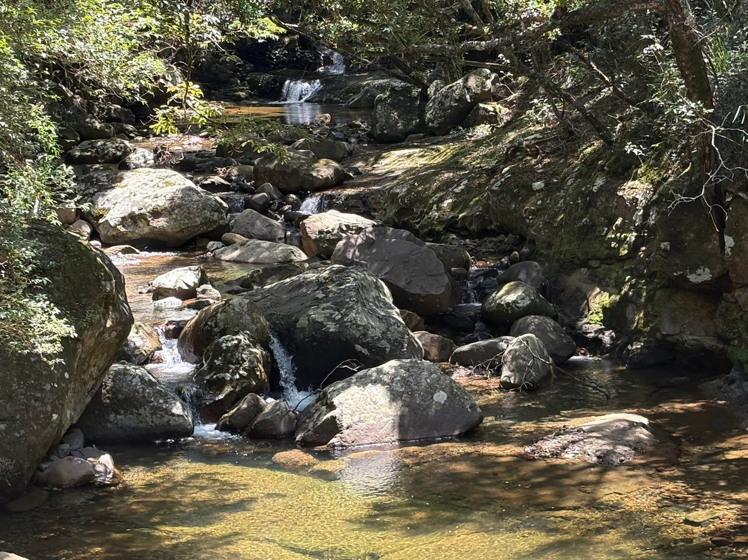 Minnamurra Falls-Jamberoo必去景点