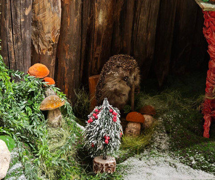 Museum Ryazan Secrets of Peter I-Ryazan必去景点