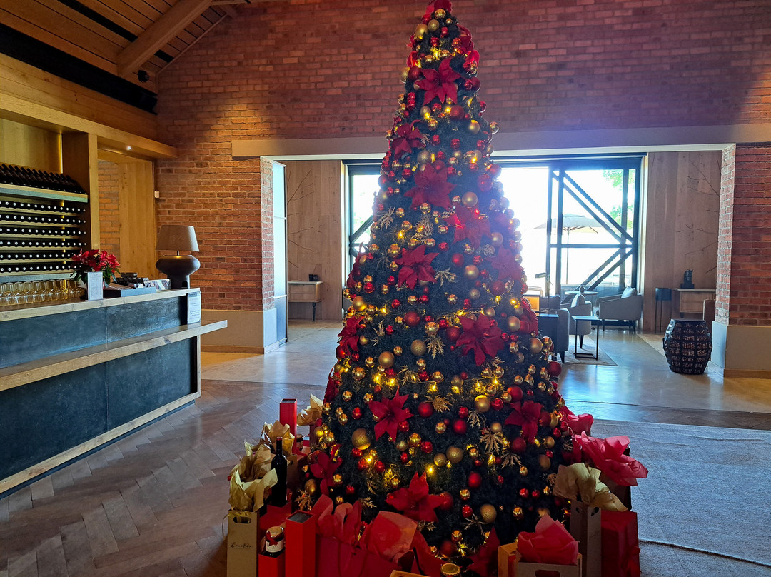 Ernie Els Wines-斯泰伦博斯必去景点