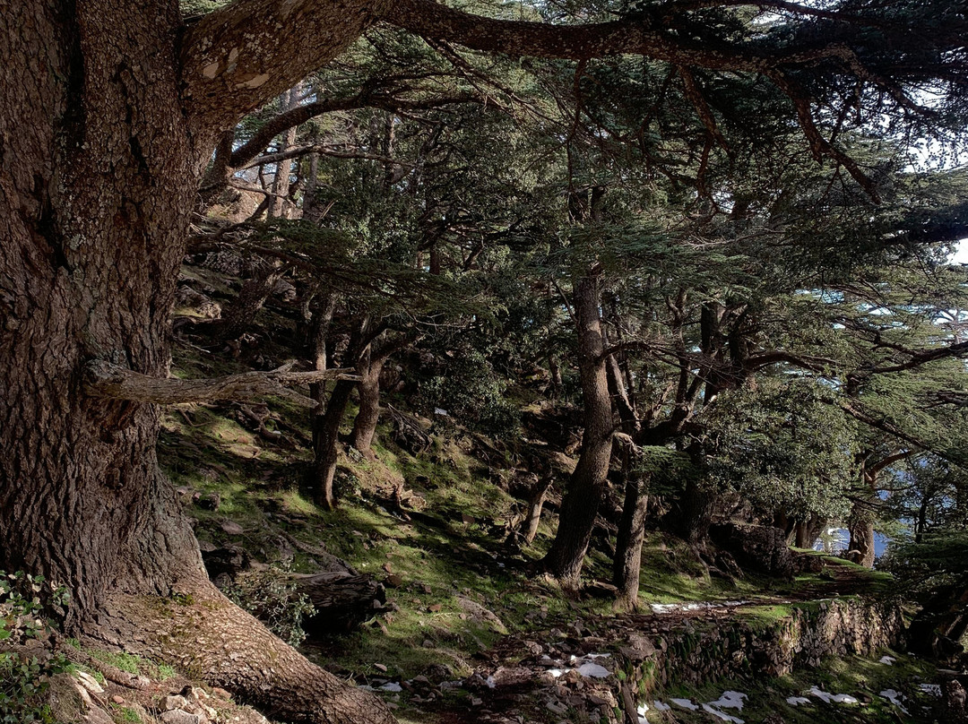 Nboujiw-阿尔及尔必去景点