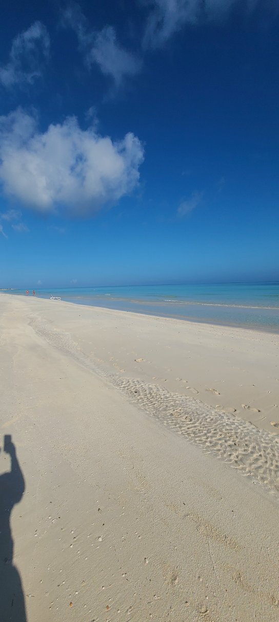 Tryp Cayo Coco-泳池