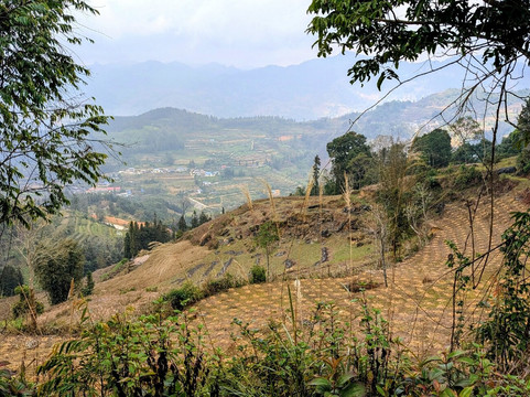 Pang Local Guide Bac Ha-Bac Ha必去景点