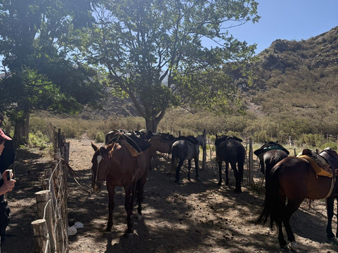 El Relincho Cabalgatas-门多萨必去景点