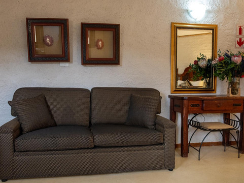 斑马自然保护区主图