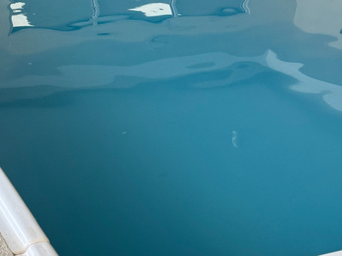 Fairfield Inn & Suites Chicago Naperville主图