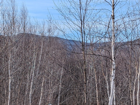Alpine Adventures-林肯必去景点
