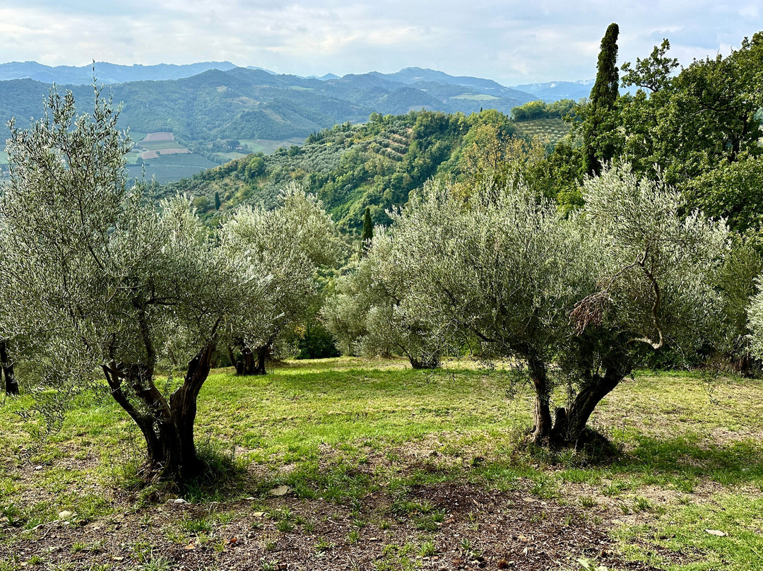 利弗扎诺别墅酒店主图