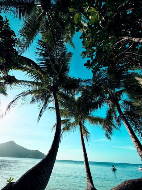 塞舌尔凯宾斯基度假村-泳池