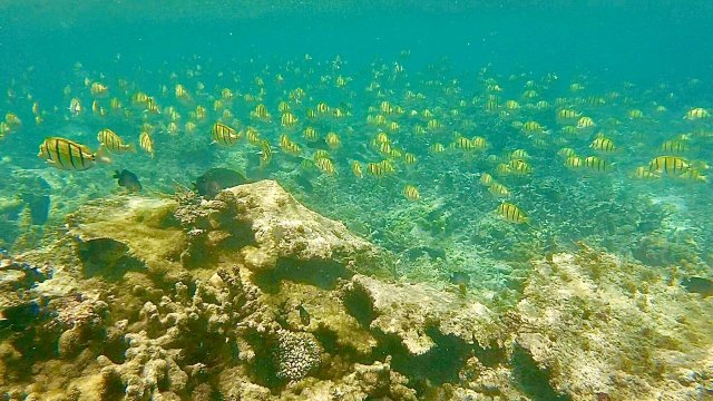 康隆尼角地中海度假村-浴室