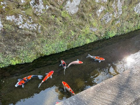 Obijokamachi-日南市必去景点