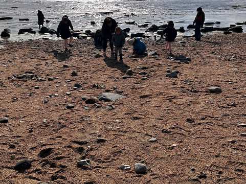 Jurassic Coast Guides-Charmouth必去景点