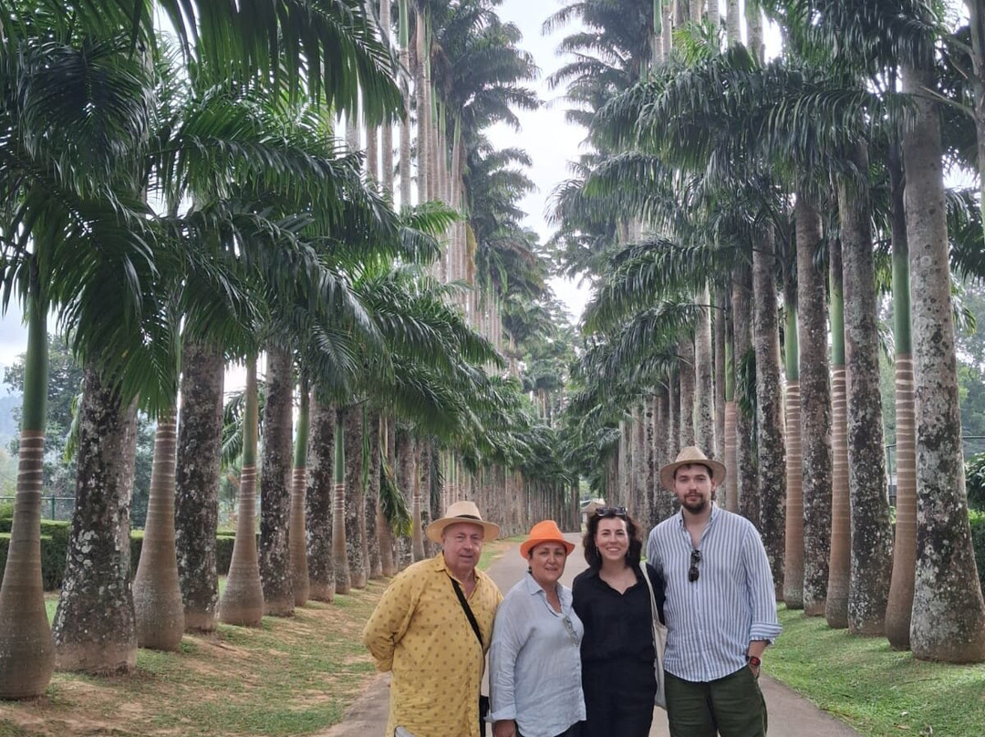 Ceylon Excursions Travel & Tours-班托塔必去景点