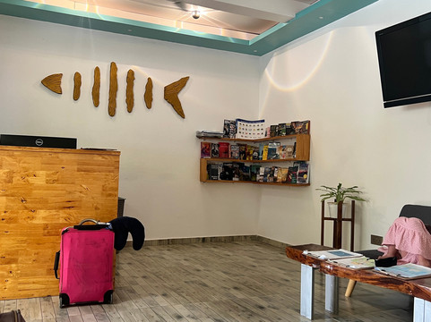 FINS潜水休闲酒店主图