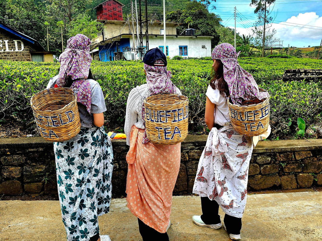 Ceylon Voyageur-Gampaha必去景点