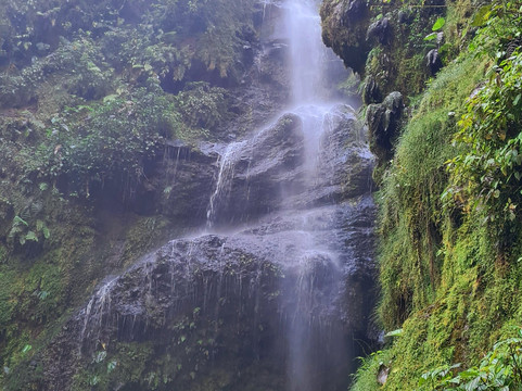 Ecotours Toro Amarillo 360-Bajos del Toro必去景点