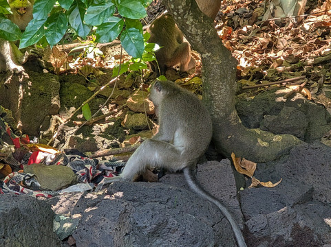 One Love Co Ltd.-毛里求斯必去景点