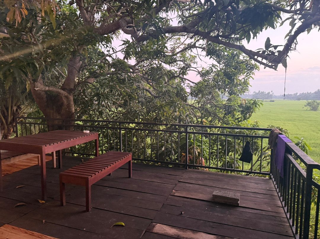 Village Mango Resort Yala主图