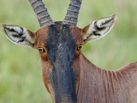 Odyssey Safaris-南由基必去景点