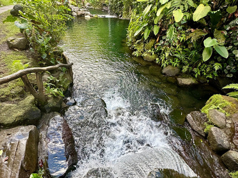 Kurú Natural Springs-福德圣卡洛斯必去景点