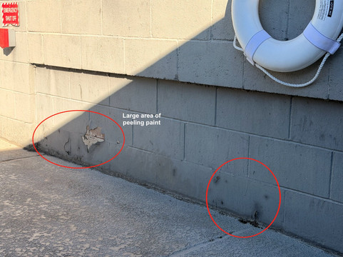 沙漠温泉旅馆主图