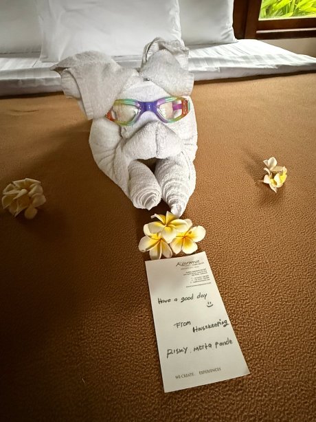 卡尔玛金巴兰酒店-官方