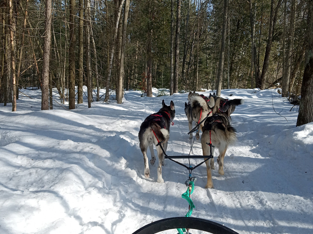 Les Aventures Liguoriennes-Saint-Liguori必去景点